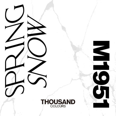 M1951 SPRING SNOW 発売開始のお知らせ – COLOURS ONLINE STORE