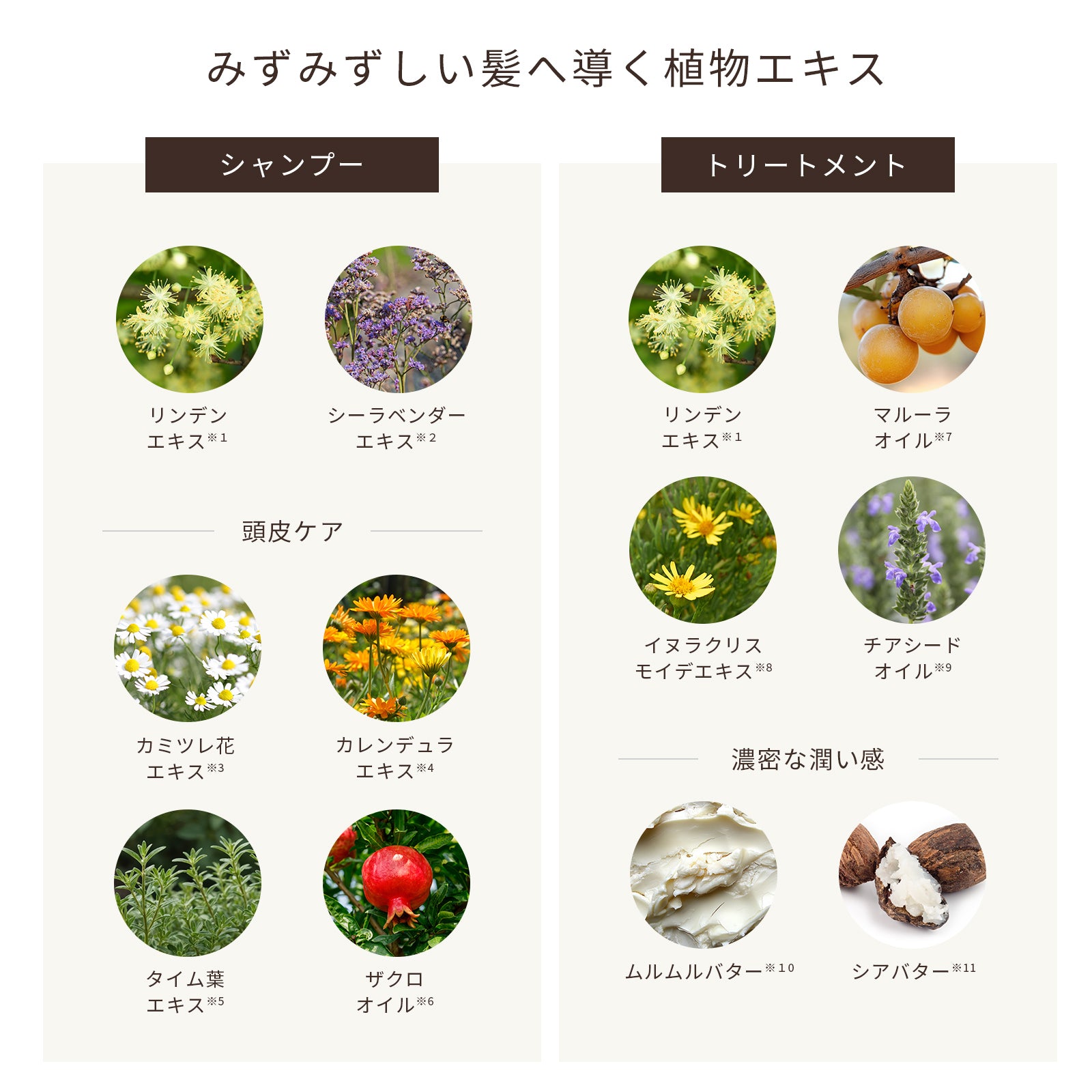 ディープリーエンブレイス 精油トリートメント 詰替え