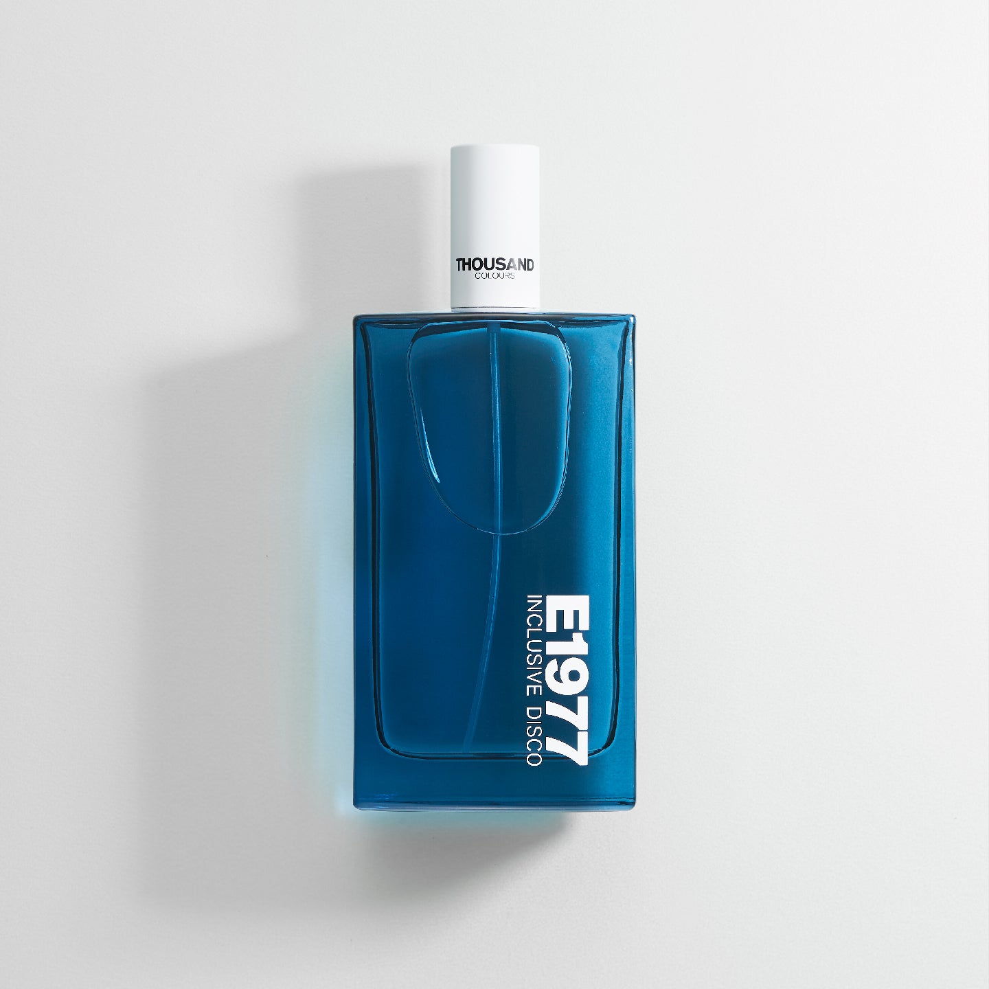 E1977 INCLUSIVE DISCO / インクリューシブディスコ