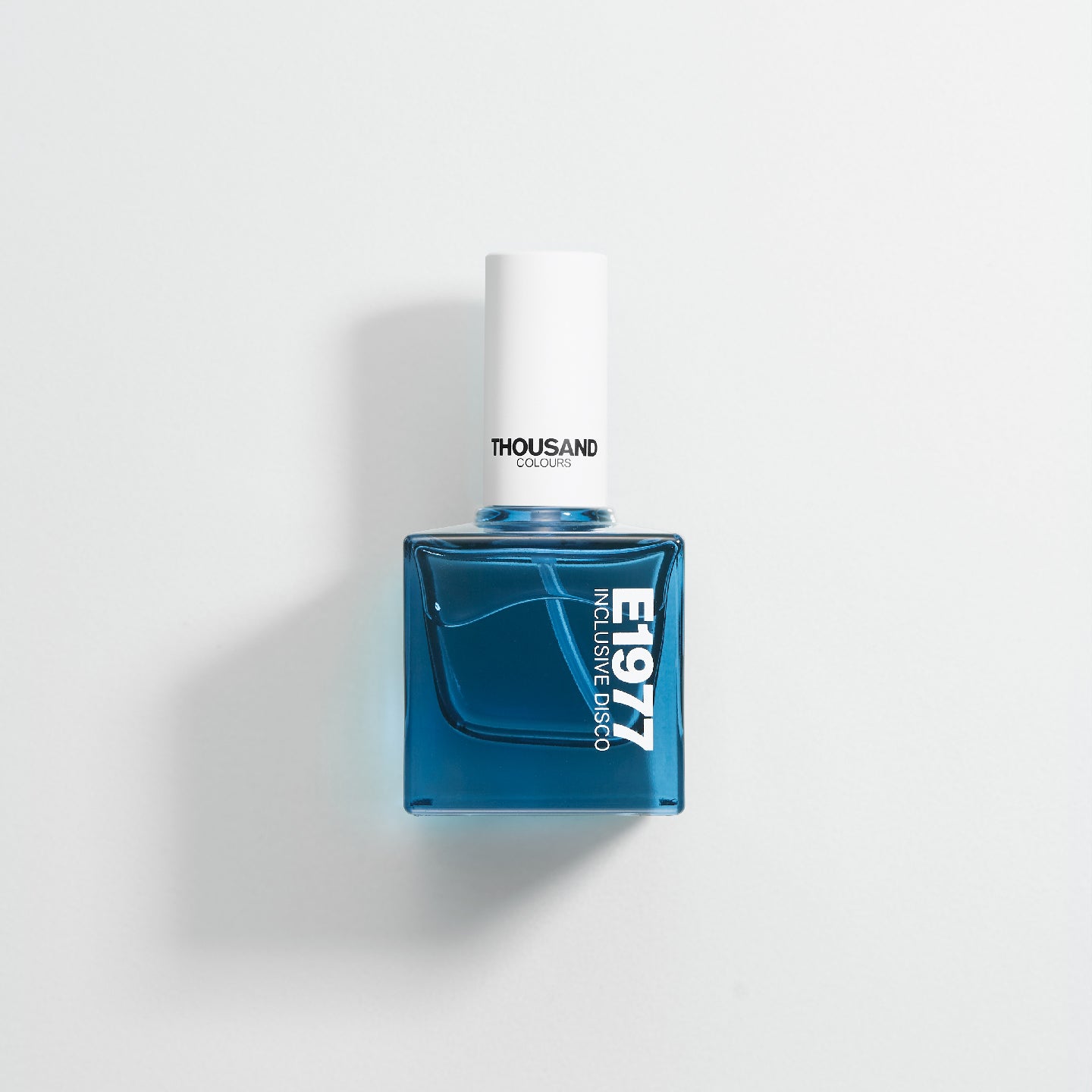 E1977 INCLUSIVE DISCO / インクリューシブディスコ