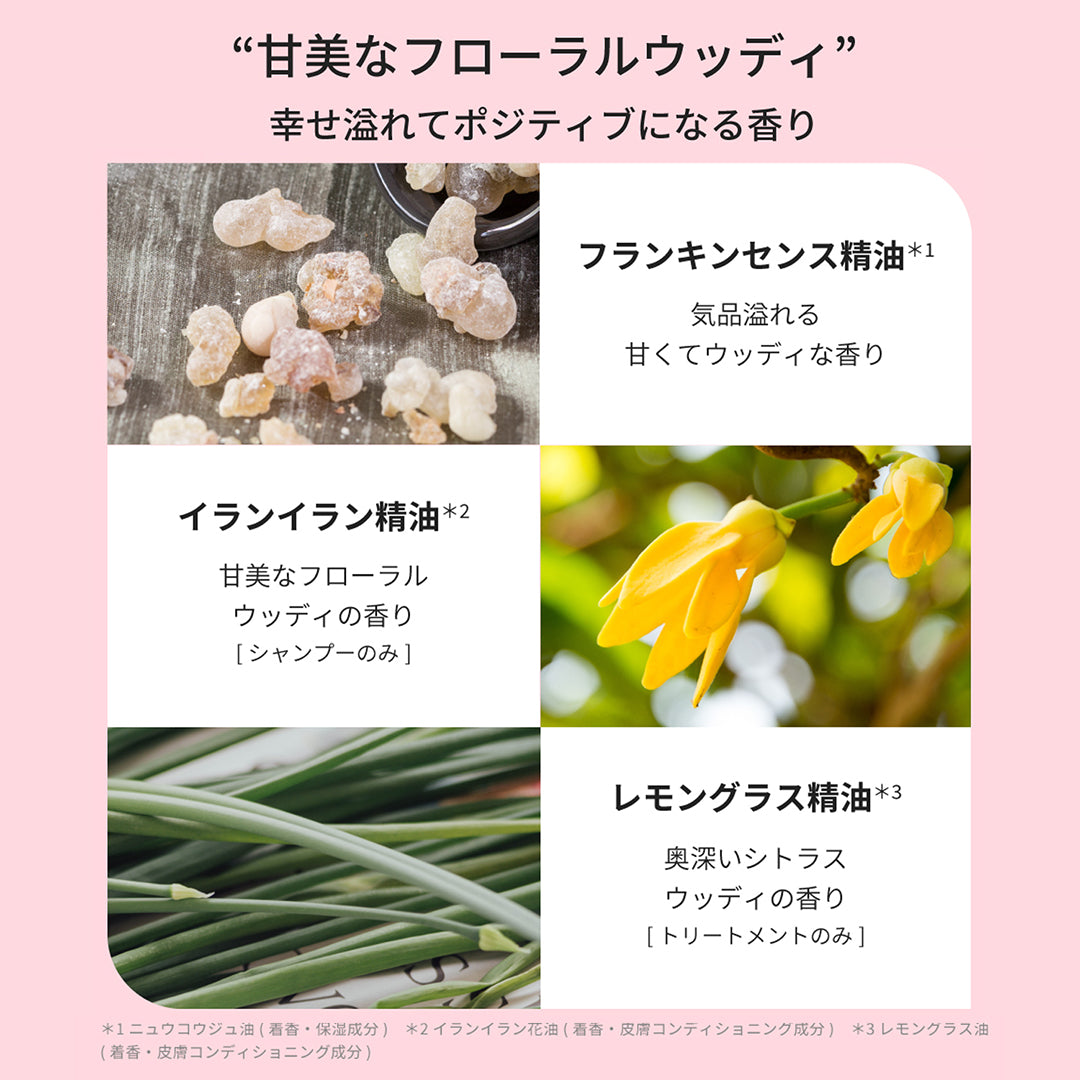 セール トリートメント 植物成分