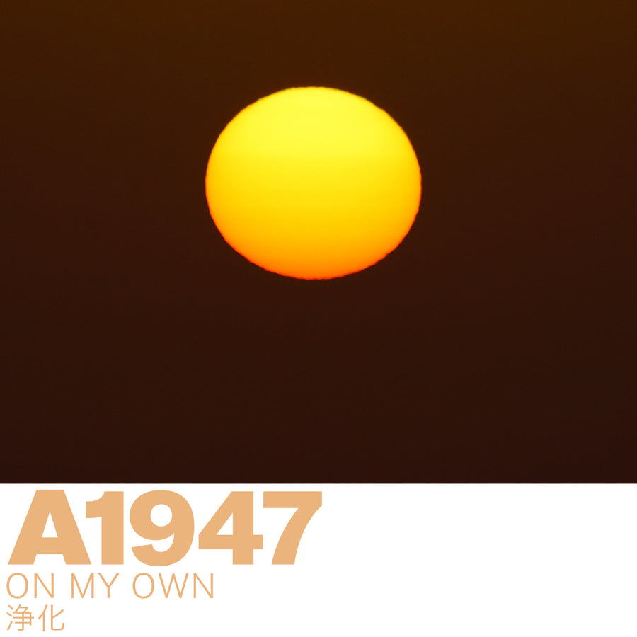 A1947 ON MY OWN DIFFUSER / オンマイオウン ディフューザー