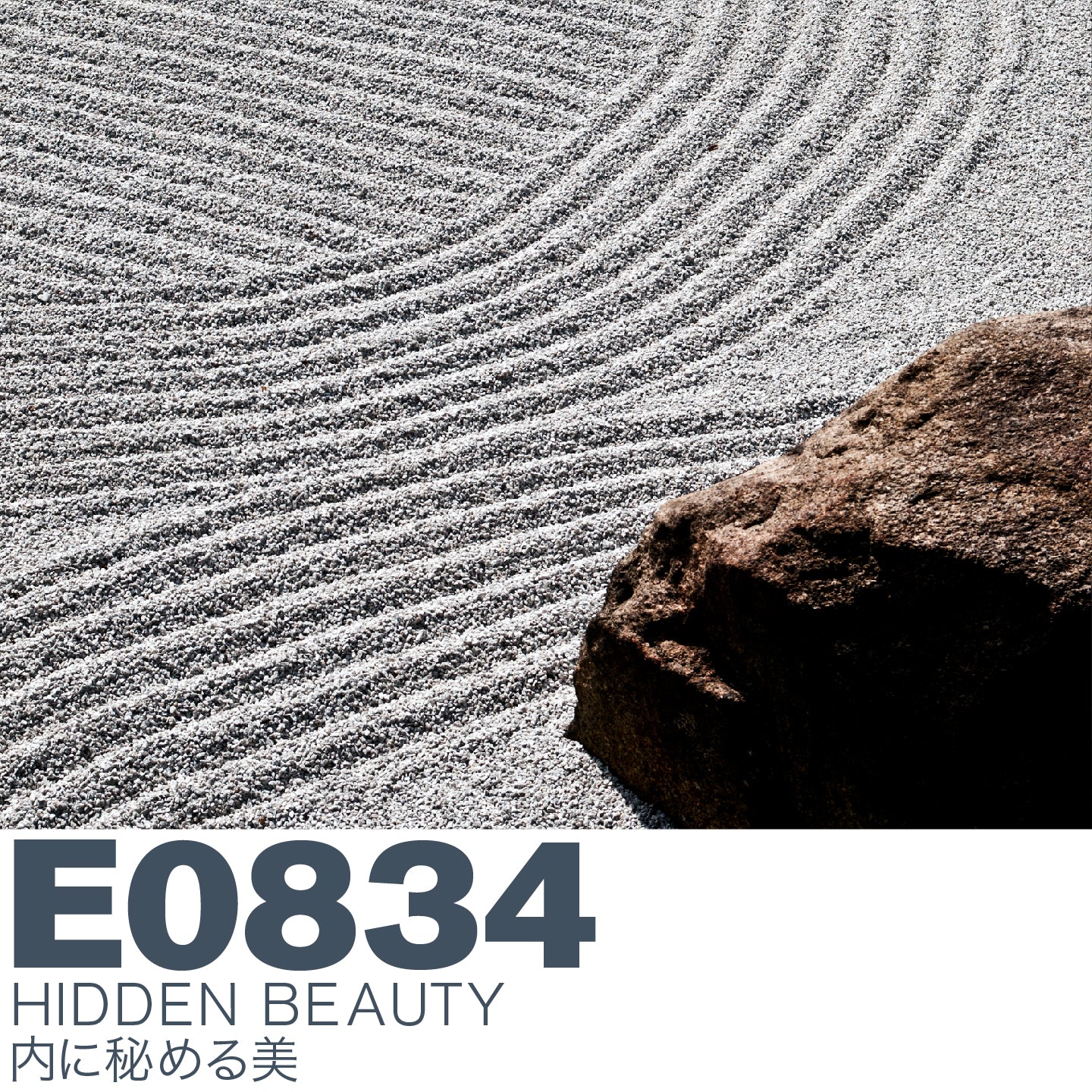 E0834 HIDDEN BEAUTY / ヒドゥンビューティー