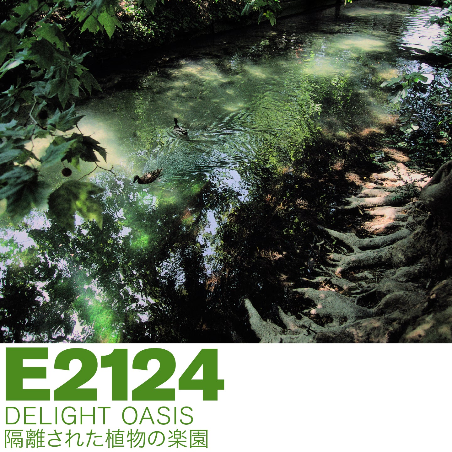 E2124 DELIGHT OASIS / ディライトオアシス