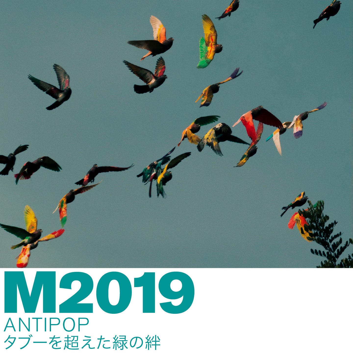 M2019 ANTIPOP / アンチポップ